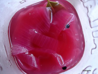 Pickled red onions