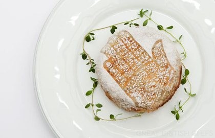 Pigeon bistayeea