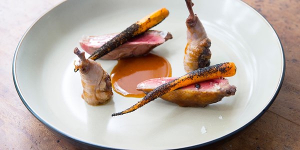 Pigeon with carrots