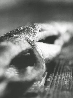 Pike and eel pâté