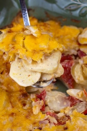 Pimento-cheese potato gratin