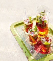 Pimm's extra