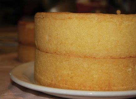 Pinch of salt sponge