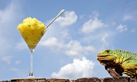 Pineapple, lime and mint granita
