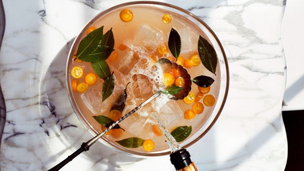 Pink grapefruit-white cranberry sparkling punch