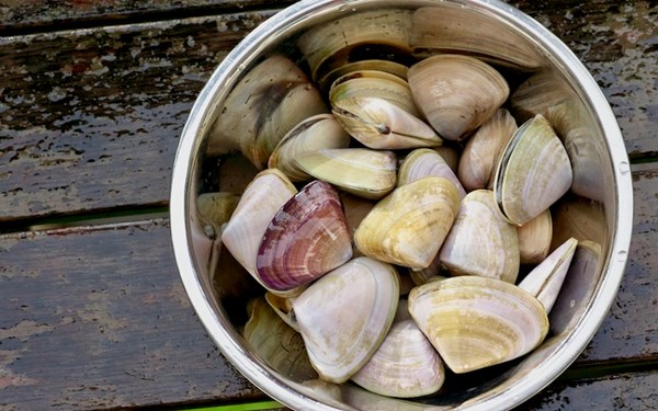 Pipis with lemongrass, chilli & garlic