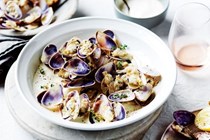 Pipis with vermouth, seaweed, white pepper aioli