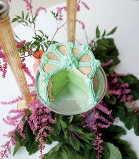 Pistachio Bavarian cream charlotte