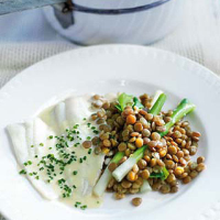 Plaice fillets with green lentils, salad onions and oyster sauce