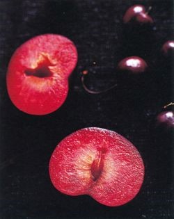 Plum & cherry vanilla compote