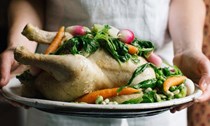 Poached chicken, spring vegetables and aioli