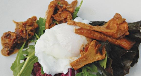Poached egg and chanterelle