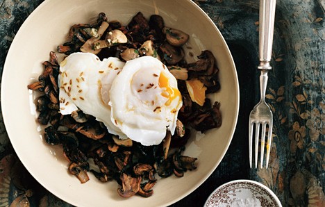 Poached eggs with mushrooms two ways