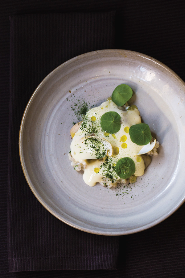 Poached oysters with matsutake mushrooms