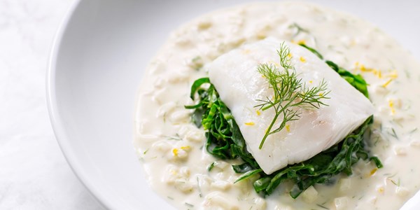 Poached turbot with fennel velouté