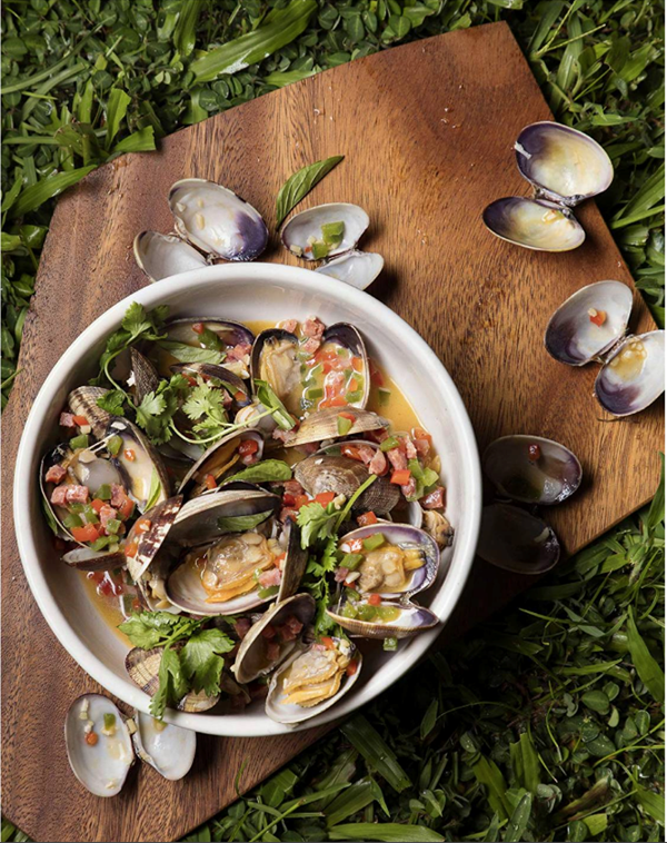 "Pocho" steamed clams with Portuguese sausage