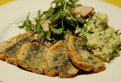 Polenta dusted sardine fillets with boiled lemon relish