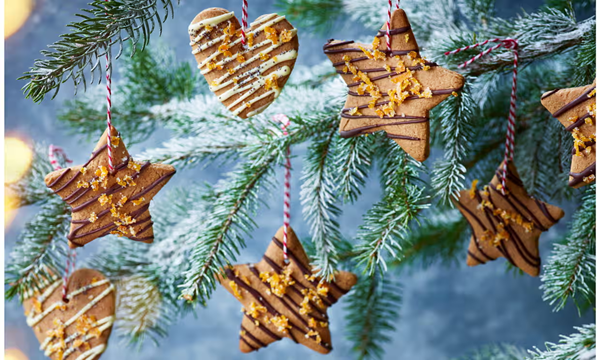 Polish gingerbread cookies with chocolate, poppy seed and candied peel