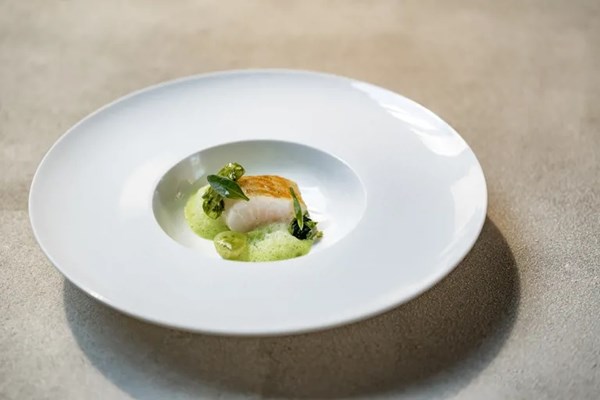 Pollock with gooseberries, courgette, crab and cucumber