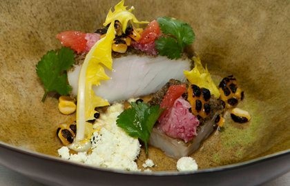 Pollock with kombu seaweed, sweetcorn and grapefruit