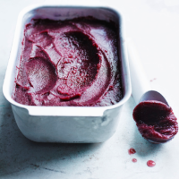 Pomegranate and blueberry sorbet