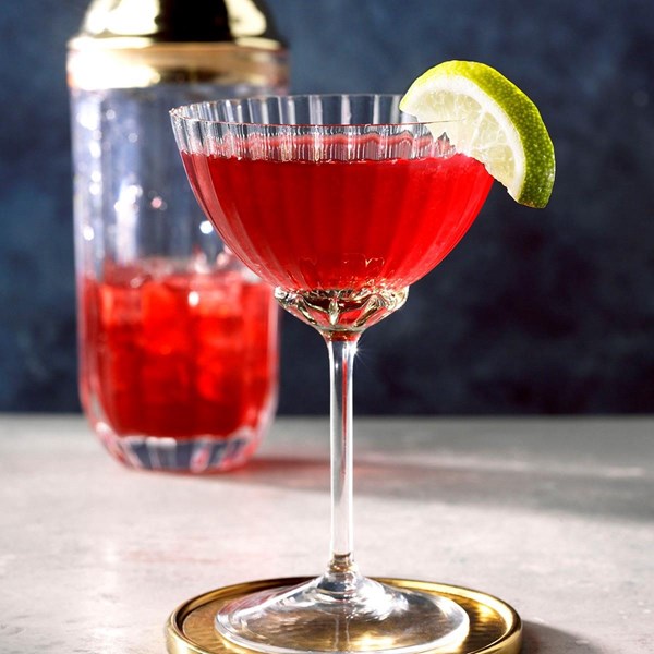 Pomegranate cranberry martini