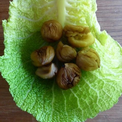 Poor man's marrons glacés (Les châtaignes blanchies)