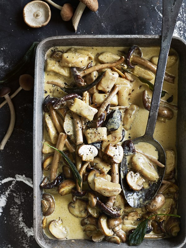 Porcini gnocchi with creamy mushroom sauce