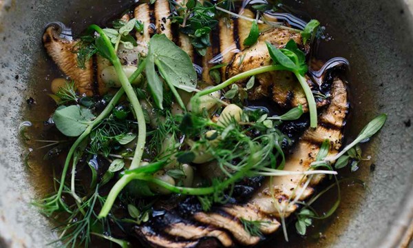 Porcini herb broth