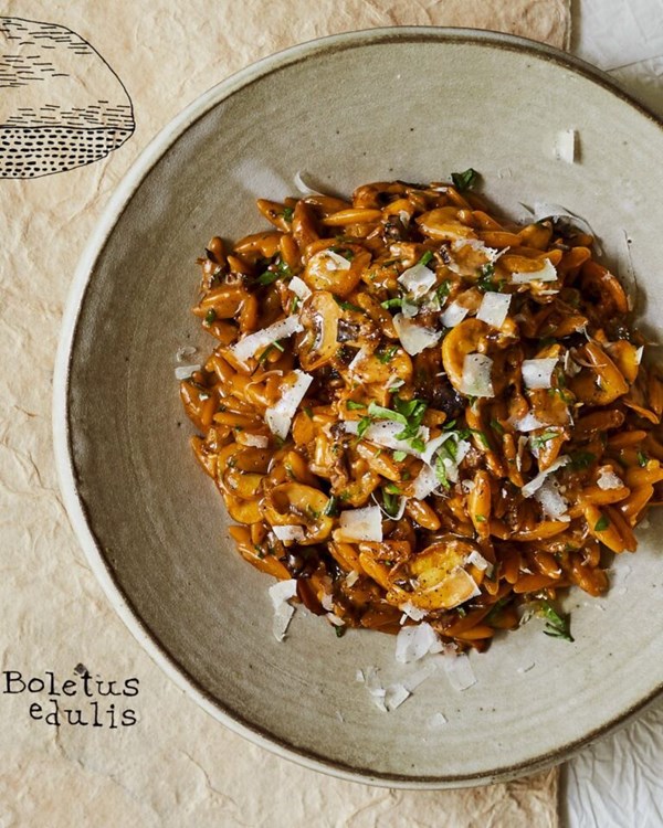 Porcini orzotto