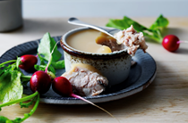 Pork rillettes with radishes