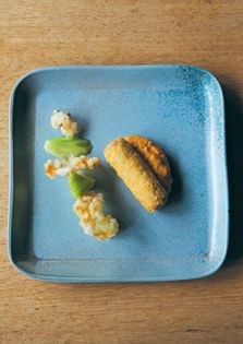 Pork shoulder terrine, kimchi puree, cucumber pickle and lobster cracker