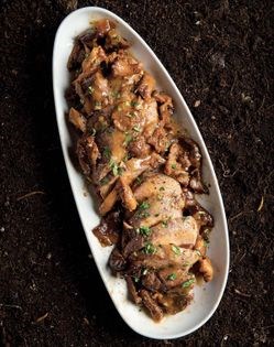 Pork with chanterelles and apricot jam [Kevin Bone]
