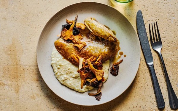 Pot-roast guinea fowl with onion and bread sauce