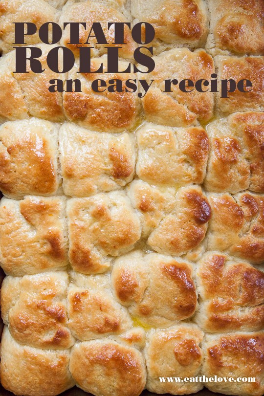 Potato rolls