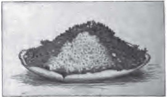 Potato salad