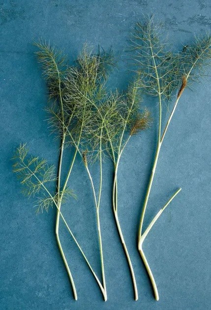 Potatoes with cream & dill