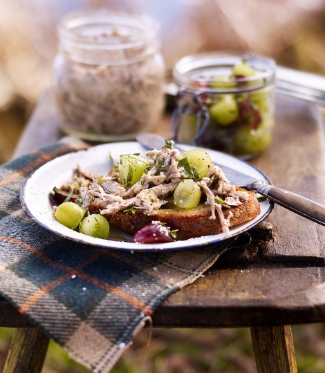 Potted pork rillettes with gooseberries and tarragon