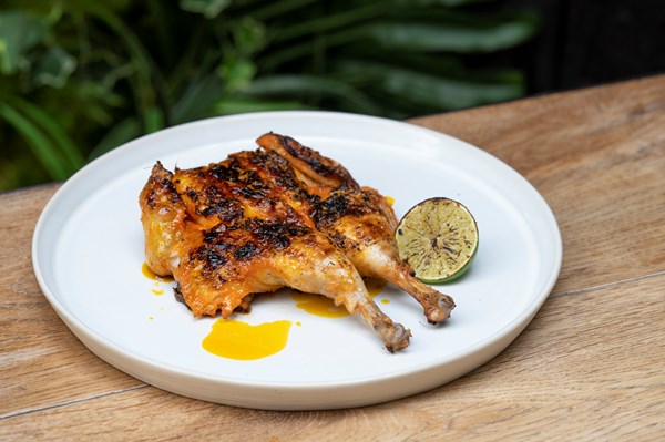 Poussin inasal
