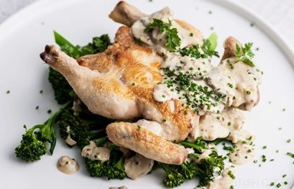Poussin with mustard sauce and mushrooms