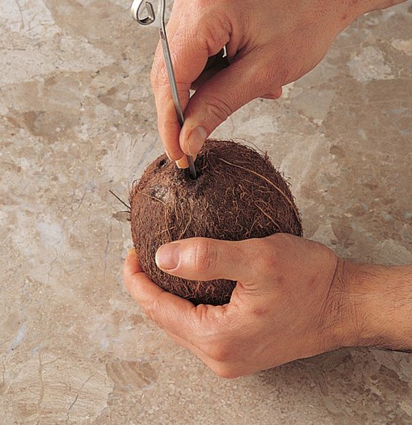 Preparing a whole coconut