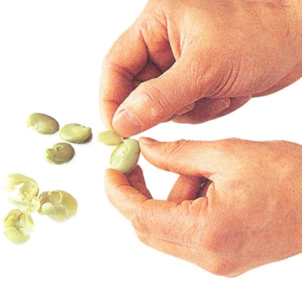 Preparing broad beans