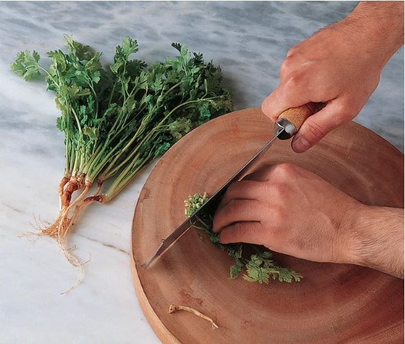 Preparing coriander stems