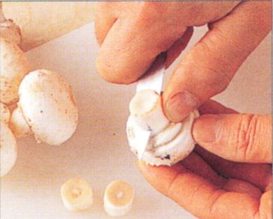 Preparing cultivated mushrooms