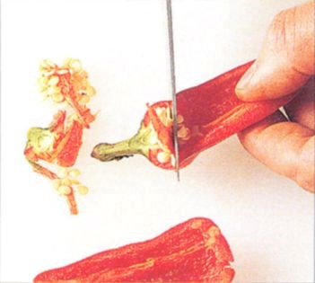 Preparing fresh chillies