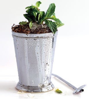 Prescription julep