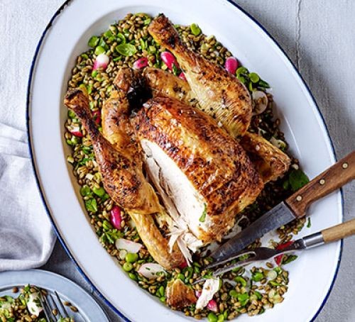 Preserved lemon roast chicken with freekeh salad