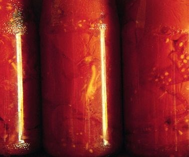 Preserved tomatoes (Conserva di pomodori)