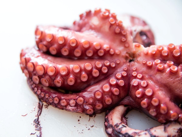 Pressure-cooker octopus