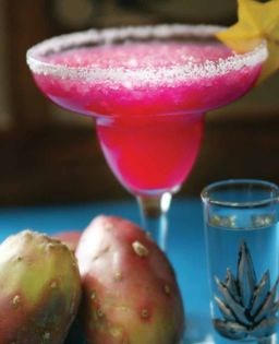 Prickly pear frozen margarita